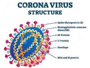 COVID-19: A Brief Overview