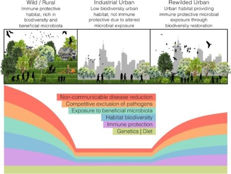 Human Health & Microbiome Rewilding