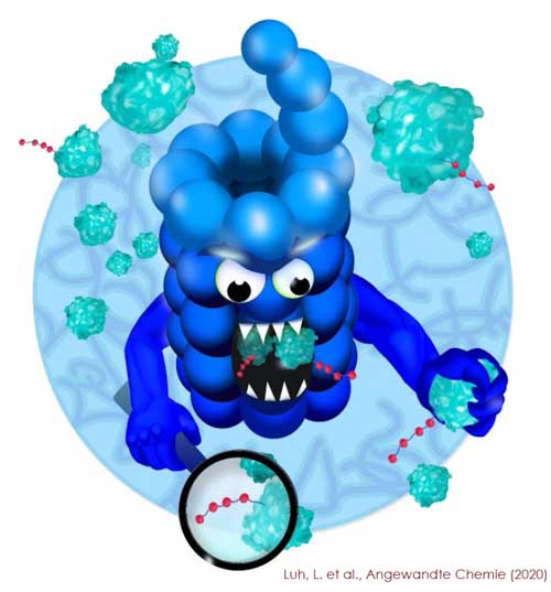 Proteolysis Targeting Chimeras (PROTACs) – a New Therapeutic Modality