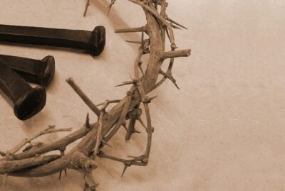 Thorns