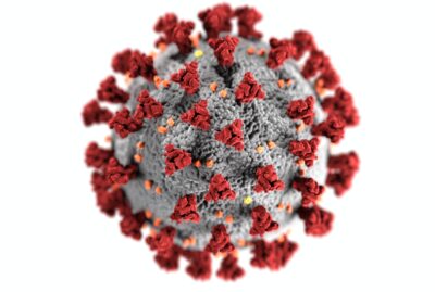 Omicron Might Be the ‘Best Variant’ of SARS-CoV-2, So Far: Here Is Why