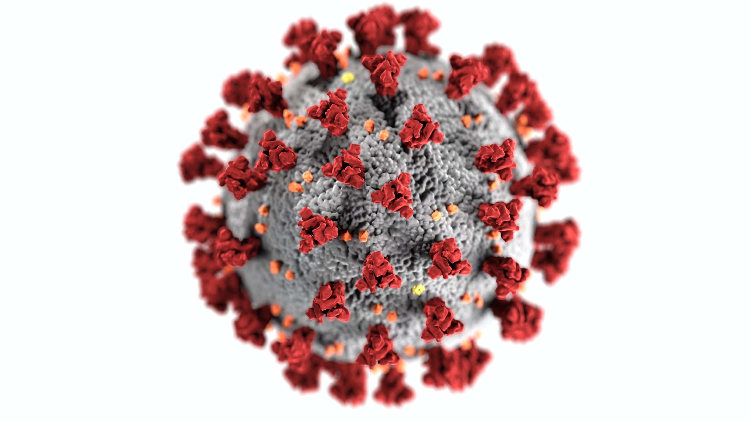 Omicron Might Be the ‘Best Variant’ of SARS-CoV-2, So Far: Here Is Why