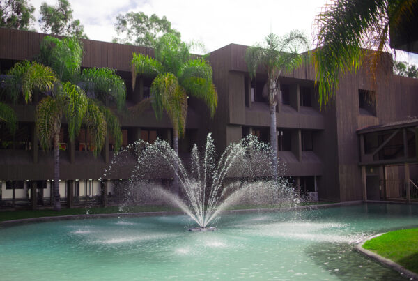 Around AUHS